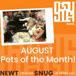Check out our August Pets of the Month, Newt & Snug!
These two are best buds and love napping together, catching their toys in their mouths and bringing them back, and participating in their owner’s Zoom meetings!
#augustpetofthemonth #petofthemonth #posteapartments #wearewalnuthills Instagram post from @posteapts on August 18, 2021 16:47:56pm